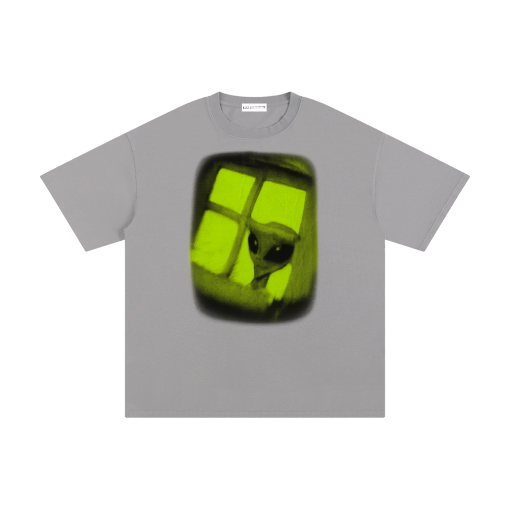 Alien In the Window - Real Experience