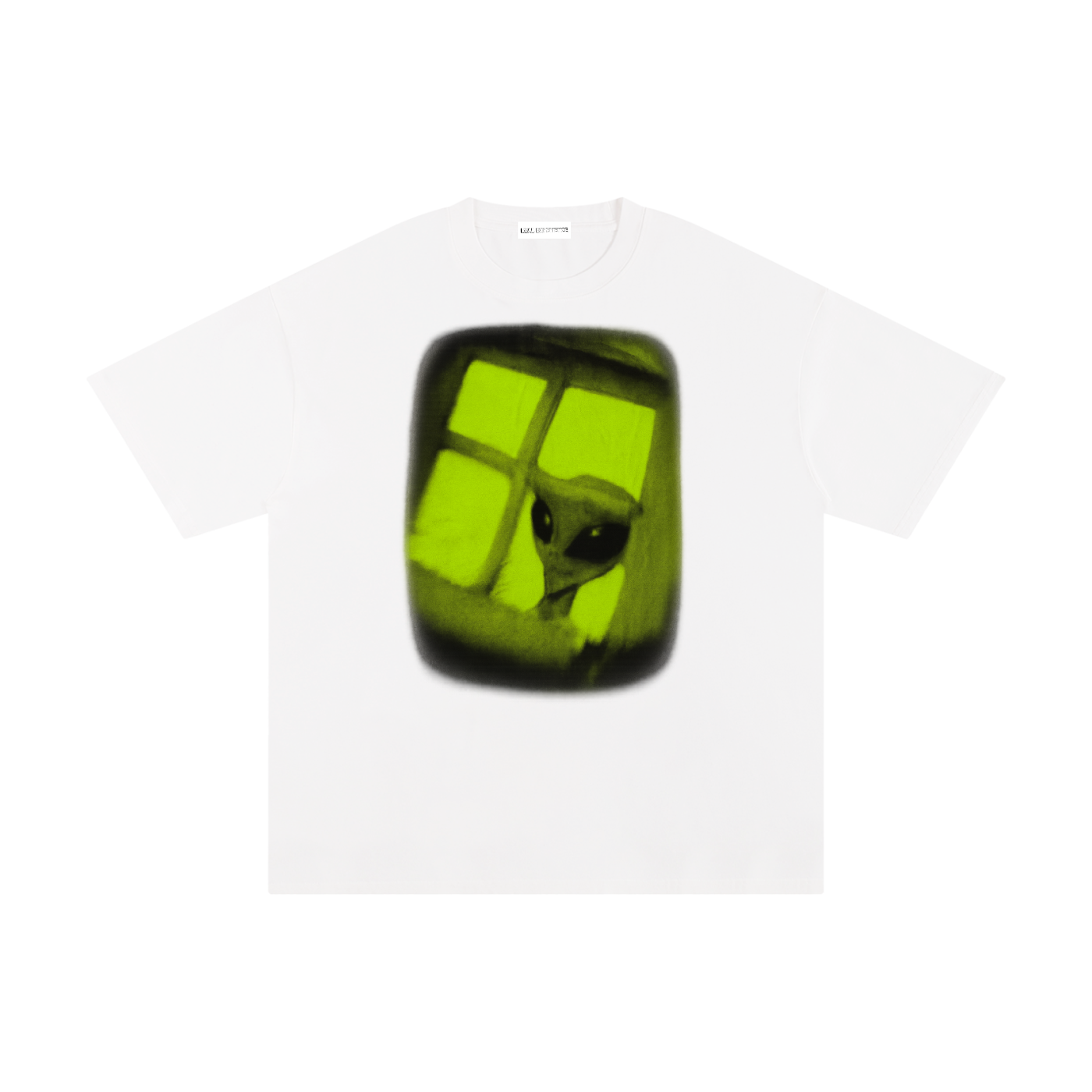 Alien In the Window - Real Experience