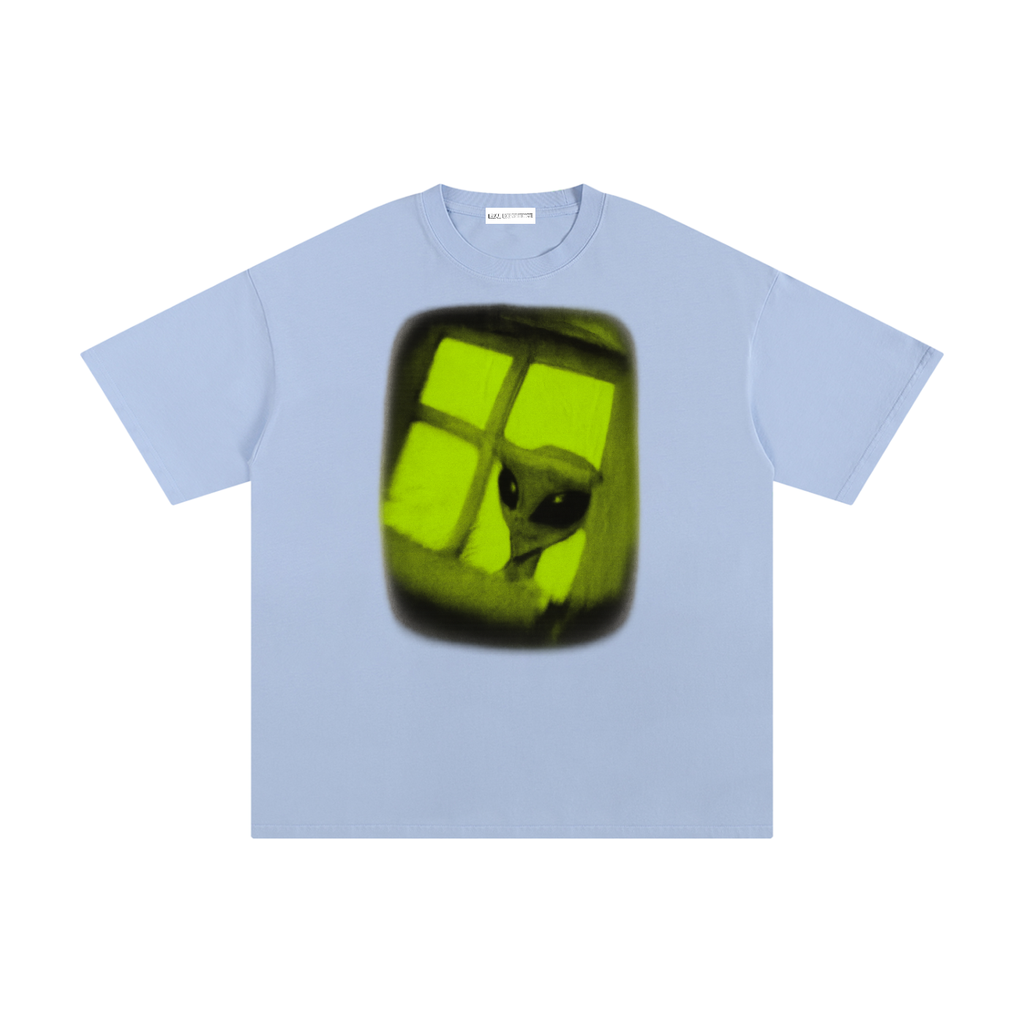 Alien In the Window - Real Experience