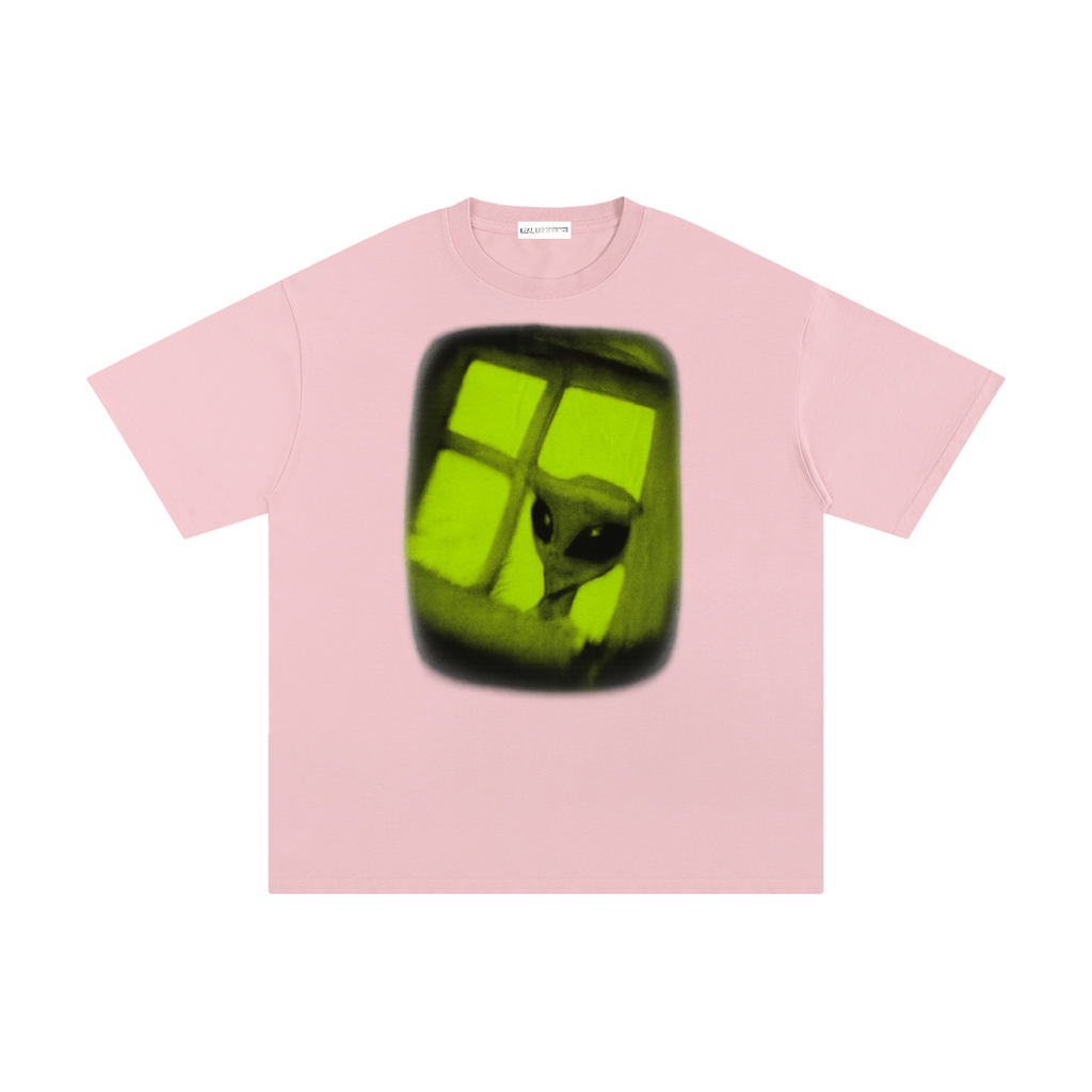 Alien In the Window - Real Experience