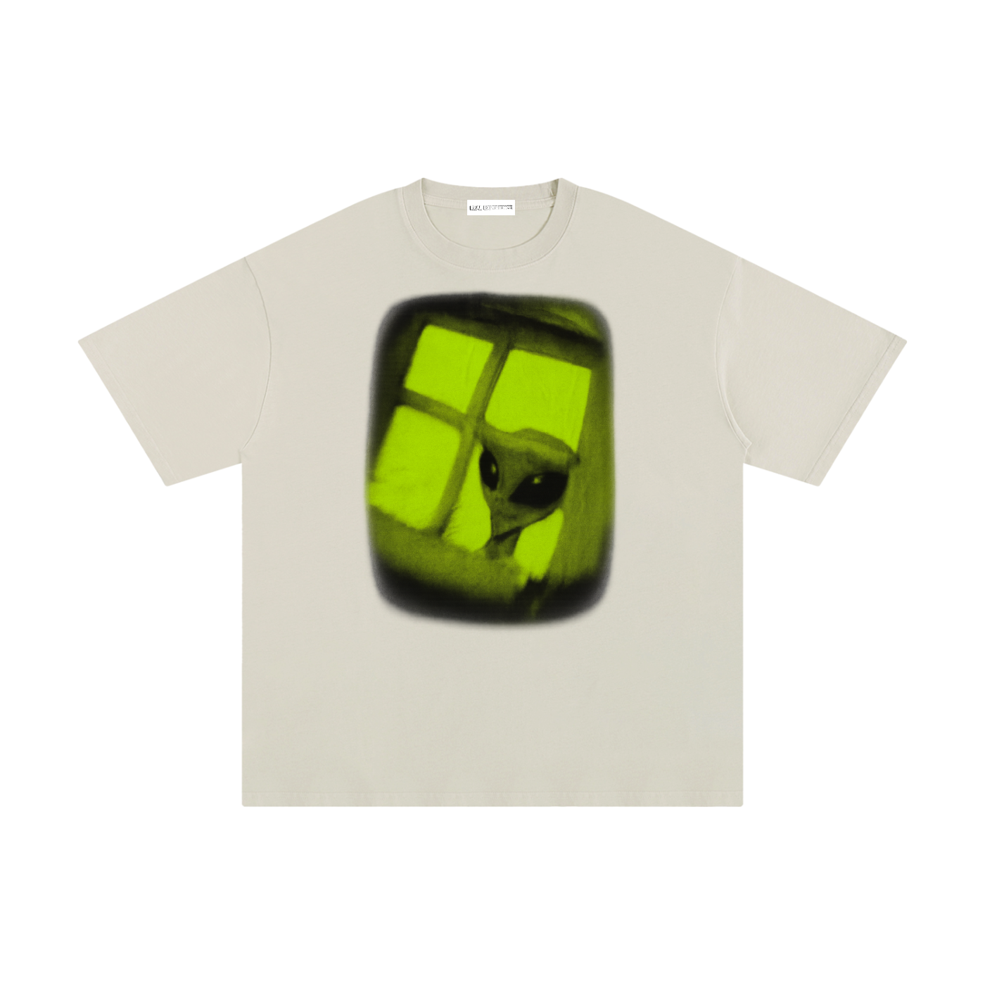 Alien In the Window - Real Experience