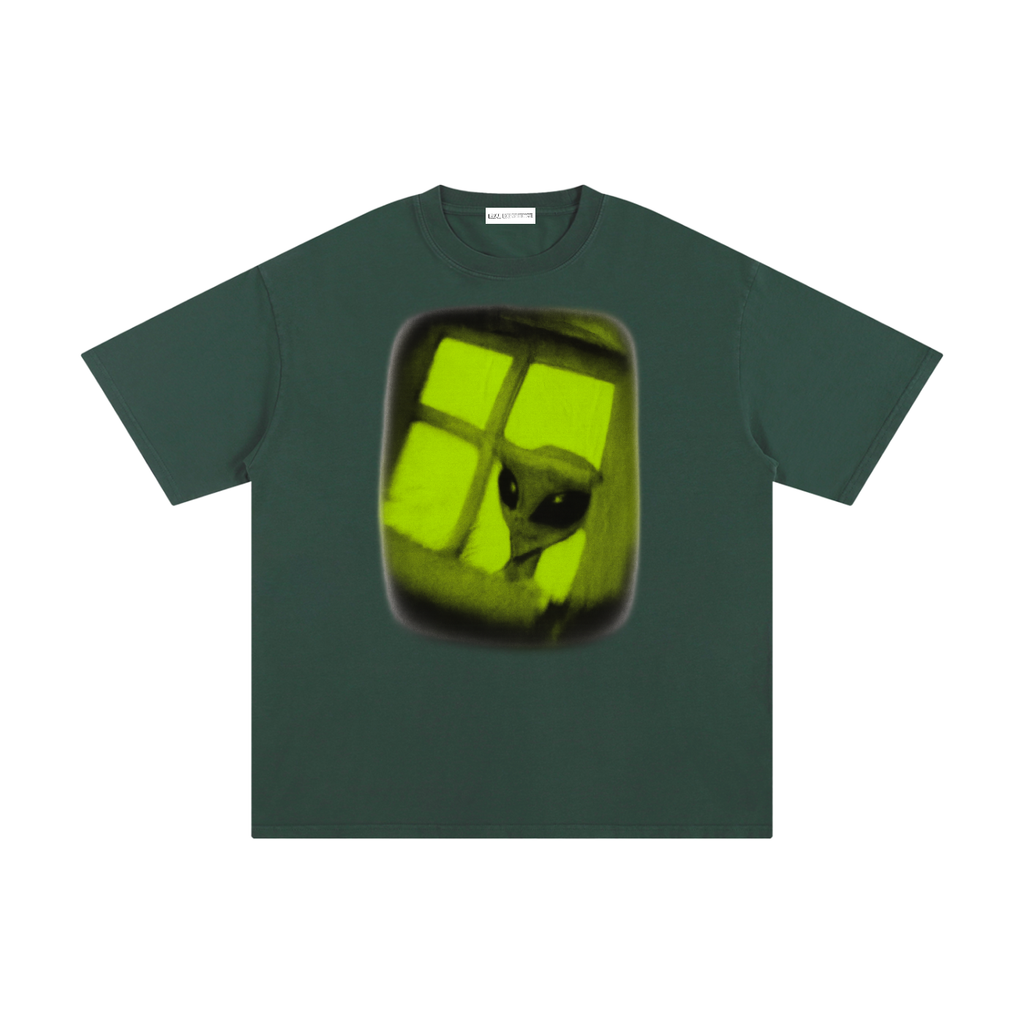 Alien In the Window - Real Experience